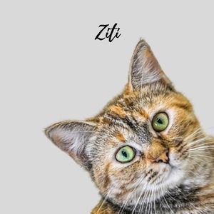 Personalized Portraits